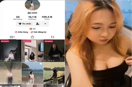 Sex Việt Tiktok Linh chỗ kín nhiều lông