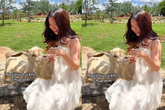 Tiểu thư thích trai nghèo cu khủng